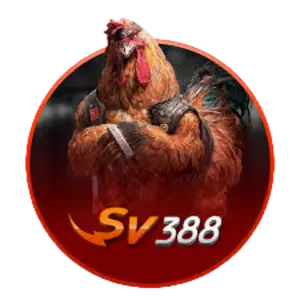 SV388斗鸡